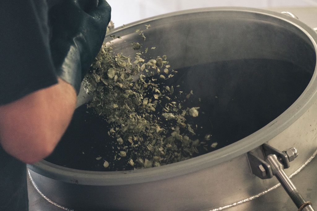 酒花、酒花顆粒和酒花浸膏要怎么選？